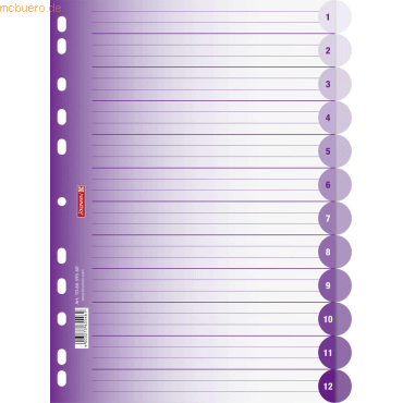 10 x Brunnen Register Colour Code A4 12-teilig PP blanko purple von Brunnen