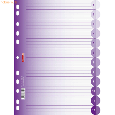 10 x Brunnen Register Colour Code A4 12-teilig PP blanko purple 10 x Brunnen Register Colour Code A4 12-teilig PP blanko purple von Brunnen