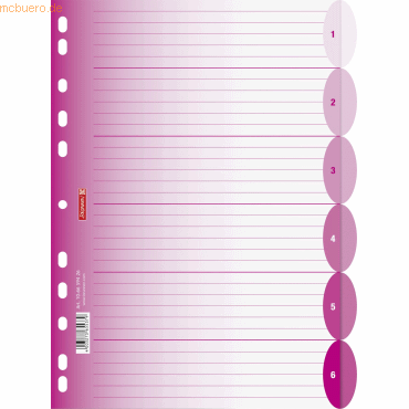 10 x Brunnen Register Colour Code A4 6-teilig PP blanko pink 10 x Brunnen Register Colour Code A4 6-teilig PP blanko pink von Brunnen