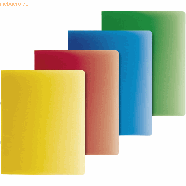 10 x Brunnen Ringbuch Fact! A4 16mm 2 Ringe farbig sortiert 10 x Brunnen Ringbuch Fact! A4 16mm 2 Ringe farbig sortiert von Brunnen