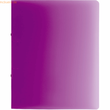 10 x Brunnen Ringbuch Fact! A4 25mm 2 Ringe purple von Brunnen