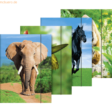10 x Brunnen Sammelmappe A3 Karton Motiv Tiere sortiert 10 x Brunnen Sammelmappe A3 Karton Motiv Tiere sortiert von Brunnen