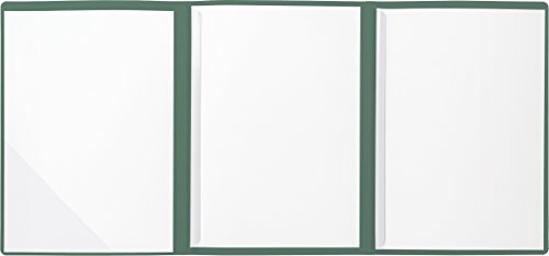 BRUNNEN 102012950 Bewerbungsmappe (Strukturkarton mit feinen Linien, A4, 10 Blatt) grün von Brunnen