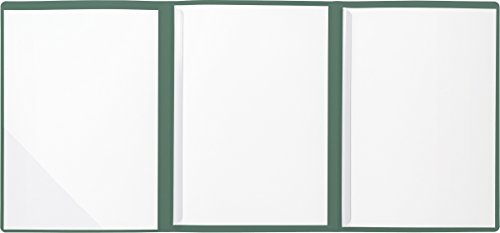 BRUNNEN 102012950 Bewerbungsmappe (Strukturkarton mit feinen Linien, A4, 10 Blatt) grün von BRUNNEN