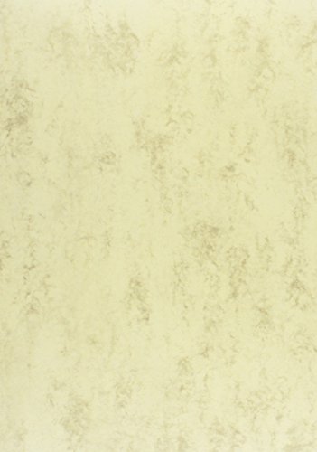 BRUNNEN 105141011 Multifunktions-Universalpapier (A4, 80 g/qm) chamois von BRUNNEN