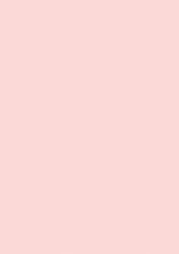 BRUNNEN Multifunktionspapier Universalpapier | A4, 120 g/m², rosé von BRUNNEN
