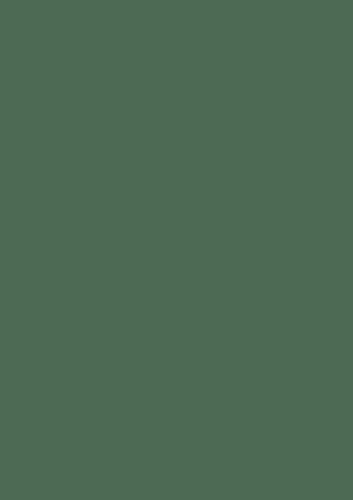 BRUNNEN Multifunktionspapier Universalpapier | A4, 160 g/m², moosgrün, 25 Blatt von BRUNNEN