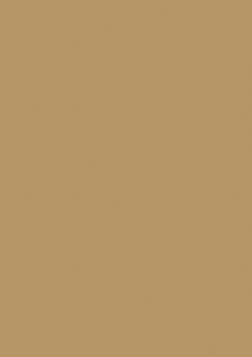 BRUNNEN Multifunktionspapier Universalpapier | A4, 160 g/m², sand von BRUNNEN