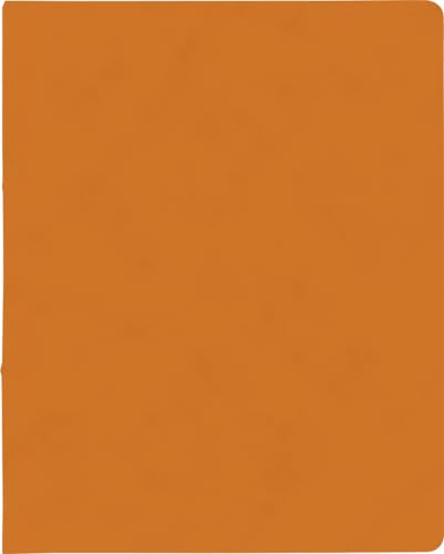 BRUNNEN Ringbuch A4 FACT!plus 2R 15mm orang von BRUNNEN