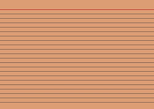 Brunnen 102250140 Karteikarte (A5 liniert, 100 Stück, eingeschweißt) orange von Brunnen