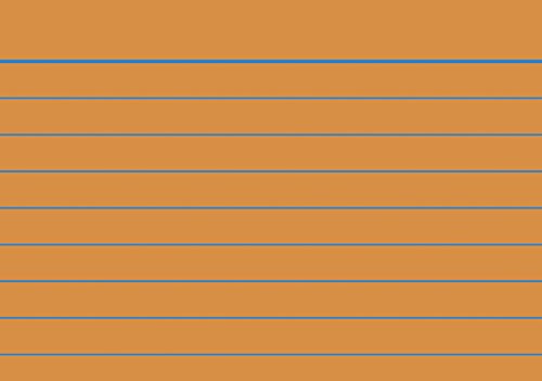 Brunnen 102282240 Karteikarte (A8 liniert, 100 Stück, eingeschweißt) orange von Brunnen