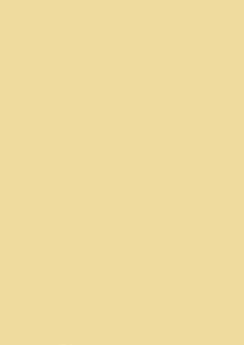 Brunnen 105123514 Universalpapier, A4, 35 Blatt, 120 g/m², honig von BRUNNEN