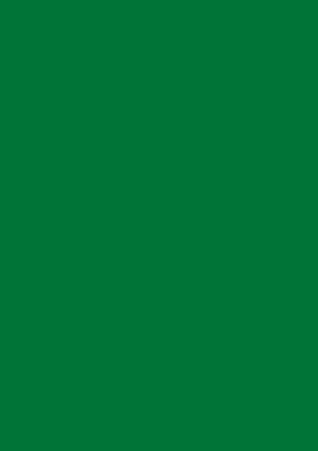BRUNNEN Multifunktionspapier Universalpapier | A4, 120 g/m², dunkelgrün, 35 Blatt von BRUNNEN