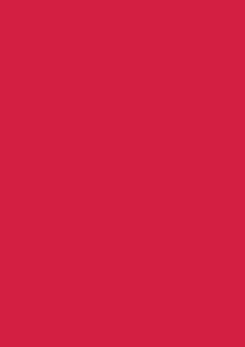 BRUNNEN Multifunktionspapier Universalpapier | A4, 80 g/m², mittelrot, 50 Blatt von BRUNNEN