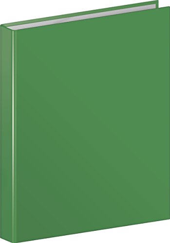 Brunnen 106552159 Ringbuch (A4, Kartonüberzug, 20mm Füllhöhe, 2 Ringe, mit Beschriftungsetikett auf dem Rücken) grün von Brunnen