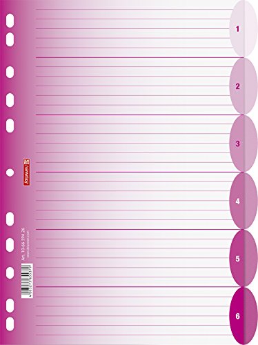 Brunnen 106659426 Ringbuchregister Colour Code (für Ordner und Ringbücher, aus PP, für A4, 6 Tabs) pink von BRUNNEN