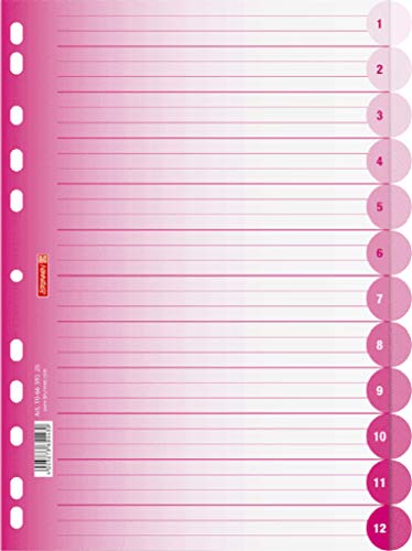 Brunnen 106659526 Ringbuchregister Colour Code (für Ordner und Ringbücher, aus PP, für A4, 12 Tabs) pink von BRUNNEN