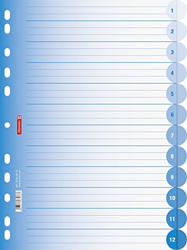 Brunnen 106659533 Ringbuchregister Colour Code (für Ordner und Ringbücher, aus PP, für A4, 12 Tabs) blau / azur von BRUNNEN