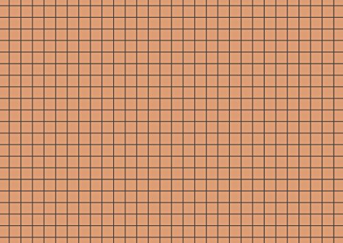 Brunnen Karteikarten, A6 quer, kariert, 180 g/qm (100 Stück, orange) von BRUNNEN