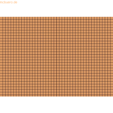 Brunnen Karteikarten A5 kariert orange VE=100 Stück von Brunnen