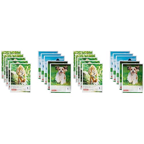 Brunnen Schulblock A5 50Bl Lin05 (Packung mit 2) von BRUNNEN
