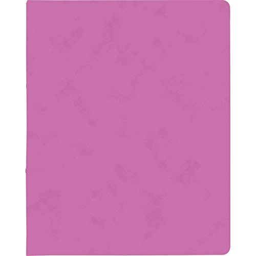 BRUNNEN Ringbuch A4 FACT!plus 2R 15mm pink von BRUNNEN