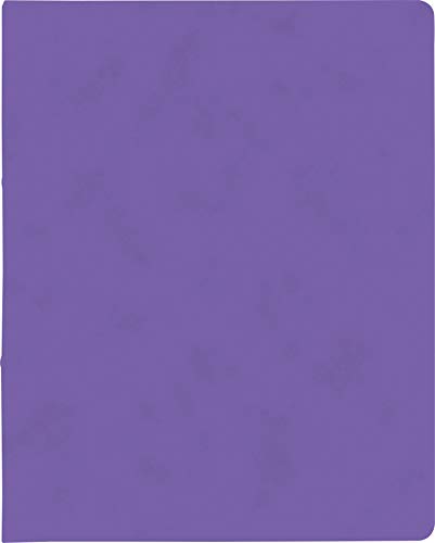 Ringbuch A4 FACT!plus 2R 15mm viole Ringbuch A4 FACT!plus 2R 15mm viole von BRUNNEN