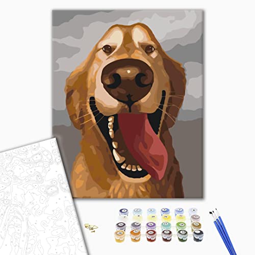 Brushme Malen nach Zahlen Erwachsene mit Rahmen 40x50 cm, Tiere Hund inklusive Pinsel und Acrylfarbe von Brushme