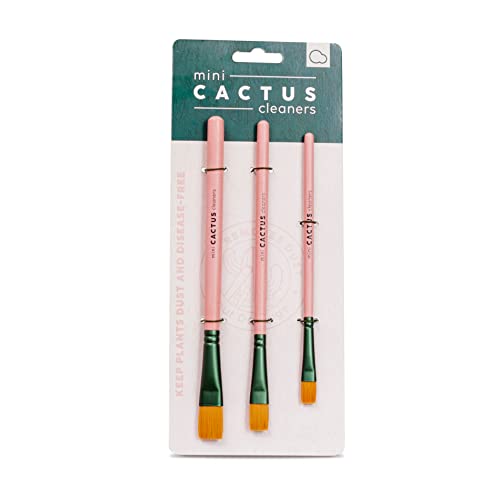 Bubblegum Stuff - Mini Kaktus Reiniger - Reinigungsbürsten Set - Bürstenreiniger und Kehrmaschine für Kaktus - 3 Reinigungsbürsten für Kakteen Bubblegum Stuff - Mini Kaktus Reiniger - Reinigungsbürsten Set - Bürstenreiniger und Kehrmaschine für Kaktus - 3 Reinigungsbürsten für Kakteen von Bubblegum Stuff