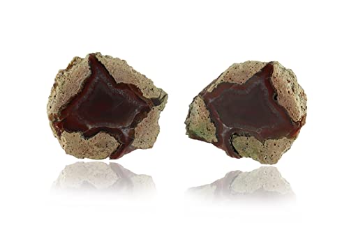 Budawi® Achat Geode Paar aus St. Egidien Sachsen geschnitten & poliert von Budawi