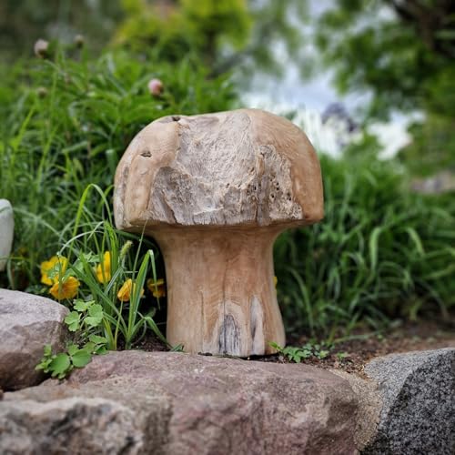 Budawi® Pilz Skulptur aus Teakholz – handgefertigte Holzfigur aus Wurzelholz von Bali – rustikale Naturdeko für Wohnzimmer Garten Terrasse – Unikat ca. 40 cm – Holzkunst von Budawi