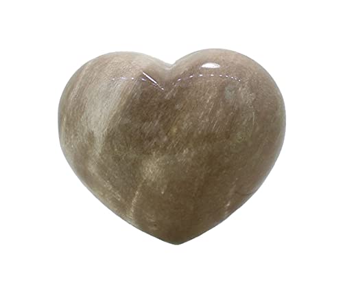 Budawi® fossiler versteinerter Holz Handschmeichler Herz bauchig Dekoherz Edelsteinherz von Budawi