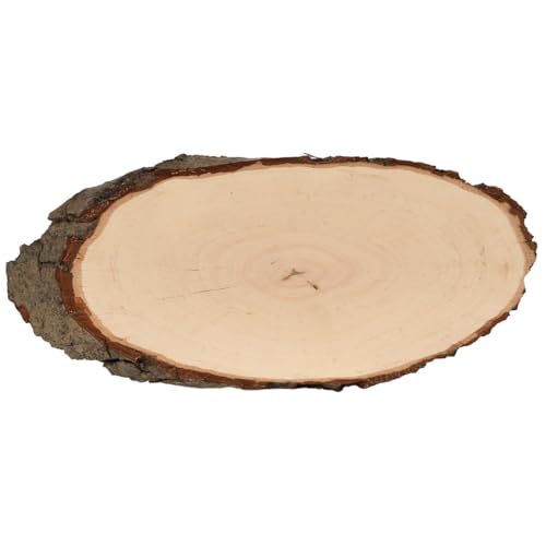 Bütic Holzscheibe Esche oval B-Ware - Rindenscheibe Baumscheibe geschliffen Holzbrett, Brettgröße:ca. 55cm lang Bütic Holzscheibe Esche oval B-Ware - Rindenscheibe Baumscheibe geschliffen Holzbrett, Brettgröße:ca. 55cm lang von Bütic GmbH