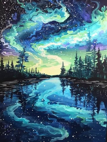 Malen Nach Zahlen Aurora Malen Nach Zahlen Erwachsene mit Rahmen Landschaft Paint by Numbers Kreativ Set Mit 3 - Pinseln und Acrylfarbe Leinwand Kit für Geschenke und Home Haus Deko (50 X 65 cm) j-17 von Bugufen