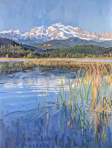 Malen Nach Zahlen Landschaft Malen Nach Zahlen Erwachsene ohne Rahmen Berg Paint by Numbers Kreativ Set Mit 3 - Pinseln und Acrylfarbe Leinwand Kit für Geschenke und Home Haus Deko (30 X 40 cm) k-19A von Bugufen