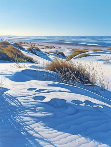 Malen Nach Zahlen Meer Malen Nach Zahlen Erwachsene mit Rahmen Landschaft Paint by Numbers Kreativ Set Mit 3 - Pinseln und Acrylfarbe Leinwand Kit für Geschenke und Home Haus Deko (100 X 135 cm) i-6A von Bugufen