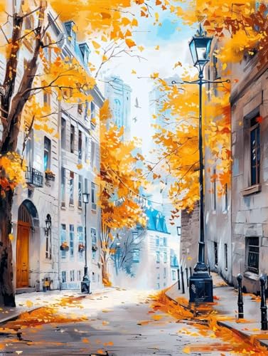 Malen Nach Zahlen Stadtbild Malen Nach Zahlen Erwachsene mit Rahmen Straße Paint by Numbers Kreativ Set Mit 3 - Pinseln und Acrylfarbe Leinwand Kit für Geschenke und Home Haus Deko (60 X 80 cm) i-199 von Bugufen