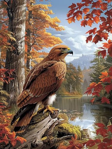 Malen Nach Zahlen Tier Paint by Numbers Adler Malen Nach Zahlen Kinder ab 7 8 9 10 jahre mädchen Handgemalt Ölgemälde Kreativ Set Mit 3 Pinseln und Acrylfarbe Leinwand Kit 30X40cm (ohne Rahmen) e-20 von Bugufen
