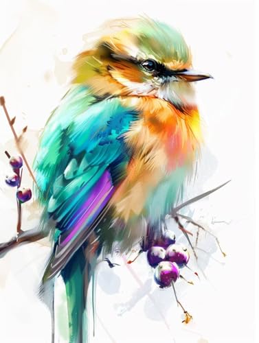 Malen Nach Zahlen Tier Paint by Numbers Vogel Malen Nach Zahlen Kinder ab 7 8 9 10 jahre mädchen Handgemalt Ölgemälde Kreativ Set Mit 3 Pinseln und Acrylfarbe Leinwand Kit 30X40cm (mit Rahmen) e-149 von Bugufen