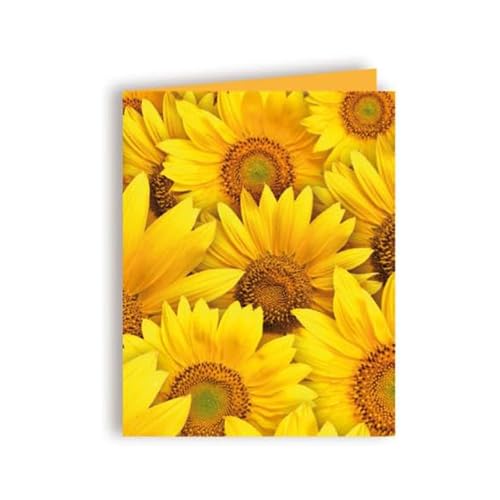 Bull & Bear Klappkarte mit Samentüte Zwergsonnenblume, Zwergsonnenblumensamen, Grußkarte Karte perfekt als Gruß und Geschenk für Freunde, Familie, Hobbygärtner, Gartenfans Bull & Bear Klappkarte mit Samentüte Zwergsonnenblume, Zwergsonnenblumensamen, Grußkarte Karte perfekt als Gruß und Geschenk für Freunde, Familie, Hobbygärtner, Gartenfans von Bull & Bear