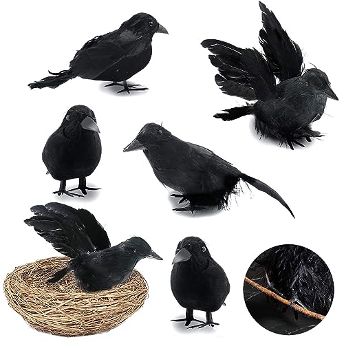 Bullpiano 6 Stück Halloween-Krähen mit Vogelnest, schwarze gefiederte Krähen, künstliche gefiederte Raben-Requisite, Halloween-Dekorationen, Halloween-Party-Dekoration, Requisite, schwarze gefiederte Bullpiano 6 Stück Halloween-Krähen mit Vogelnest, schwarze gefiederte Krähen, künstliche gefiederte Raben-Requisite, Halloween-Dekorationen, Halloween-Party-Dekoration, Requisite, schwarze gefiederte von Bullpiano