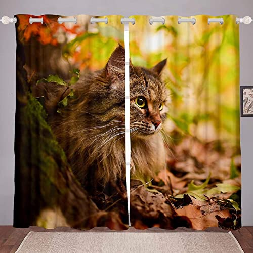 Buohwiwe Katze Verdunkelungsvorhänge 3D Vorhänge Blickdicht Katze Verdunkelungsvorhang mit Ösen für Schlafzimmer Kinderzimmer Wohnzimmer Dekoration Gardienen 150x166 cm von Buohwiwe