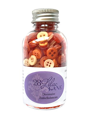 28 Lila Lane Pumpkin Spice Tasten, Kunststoff, Mehrfarbig 28 Lila Lane Pumpkin Spice Tasten, Kunststoff, Mehrfarbig von Buttons Galore