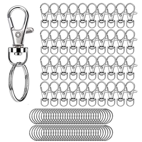 Drehbare Schlüsselanhänger, 25mm Kleine abnehmbare Drehverschlüsse, Karabinerhaken mit Schlüsselring, Schlüsselanhänger Clip, Schlüssel Ringen, Schlüsselanhänger Ringe, DIY-Kunsthandwerk,80 Stück von Butyeak