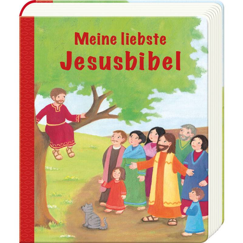 Meine Liebste Jesusbibel - Cordula Janusch, Pappband von Butzon & Bercker
