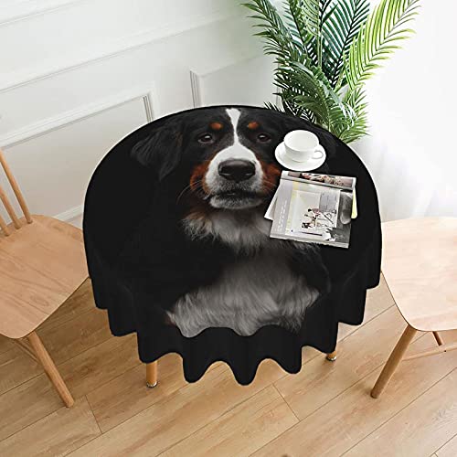 Tischdecke Berner Sennenhund 60 Zoll wasserdicht staubdicht runde Tischdekoration knitterfreie Tischtuch von Bxfdc