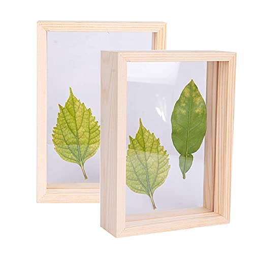 C&Z 2Pcs 4x6 Holz-Bilderrahmen, doppelseitig, Acryl, Herbarium, Pflanzen, Probe-Rahmen für gepresste Blumen, getrocknete Blätter, Tische, Wanddekoration C&Z 2Pcs 4x6 Holz-Bilderrahmen, doppelseitig, Acryl, Herbarium, Pflanzen, Probe-Rahmen für gepresste Blumen, getrocknete Blätter, Tische, Wanddekoration von C&Z