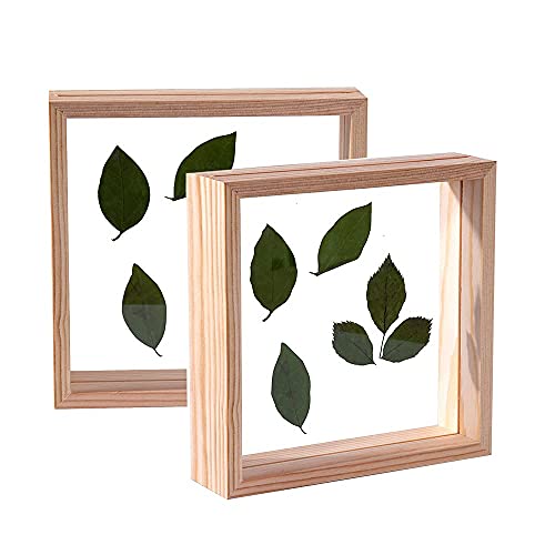C&Z 2Pcs 5x5 Holz-Bilderrahmen, doppelseitig, Acryl, Herbarium, Pflanzen, Probe-Rahmen für gepresste Blumen, getrocknete Blätter, Tische, Wanddekoration C&Z 2Pcs 5x5 Holz-Bilderrahmen, doppelseitig, Acryl, Herbarium, Pflanzen, Probe-Rahmen für gepresste Blumen, getrocknete Blätter, Tische, Wanddekoration von C&Z