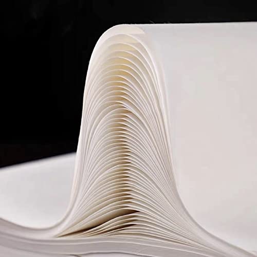 CA Society Chinesische Kalligraphie, japanisches Sumi-e Gongbi, Malerei, Praxispapier, Zeichnen, Xuan, Reispapier, ohne Raster, 100 Blatt, 34 x 68 cm, Shu (Ripe) Xuan Papier von CA Society