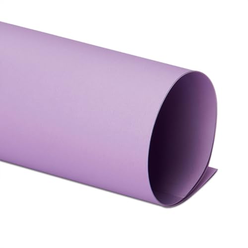 230GSM Purple Cardstock Paper - Kunstpapier Für Die Fotografie Kulisse, Farbige Kartenbestände Für Scrapbooking, Einladungen, Produktfotografie,Taro Lila,4K (10 Blatt) von CAKERS